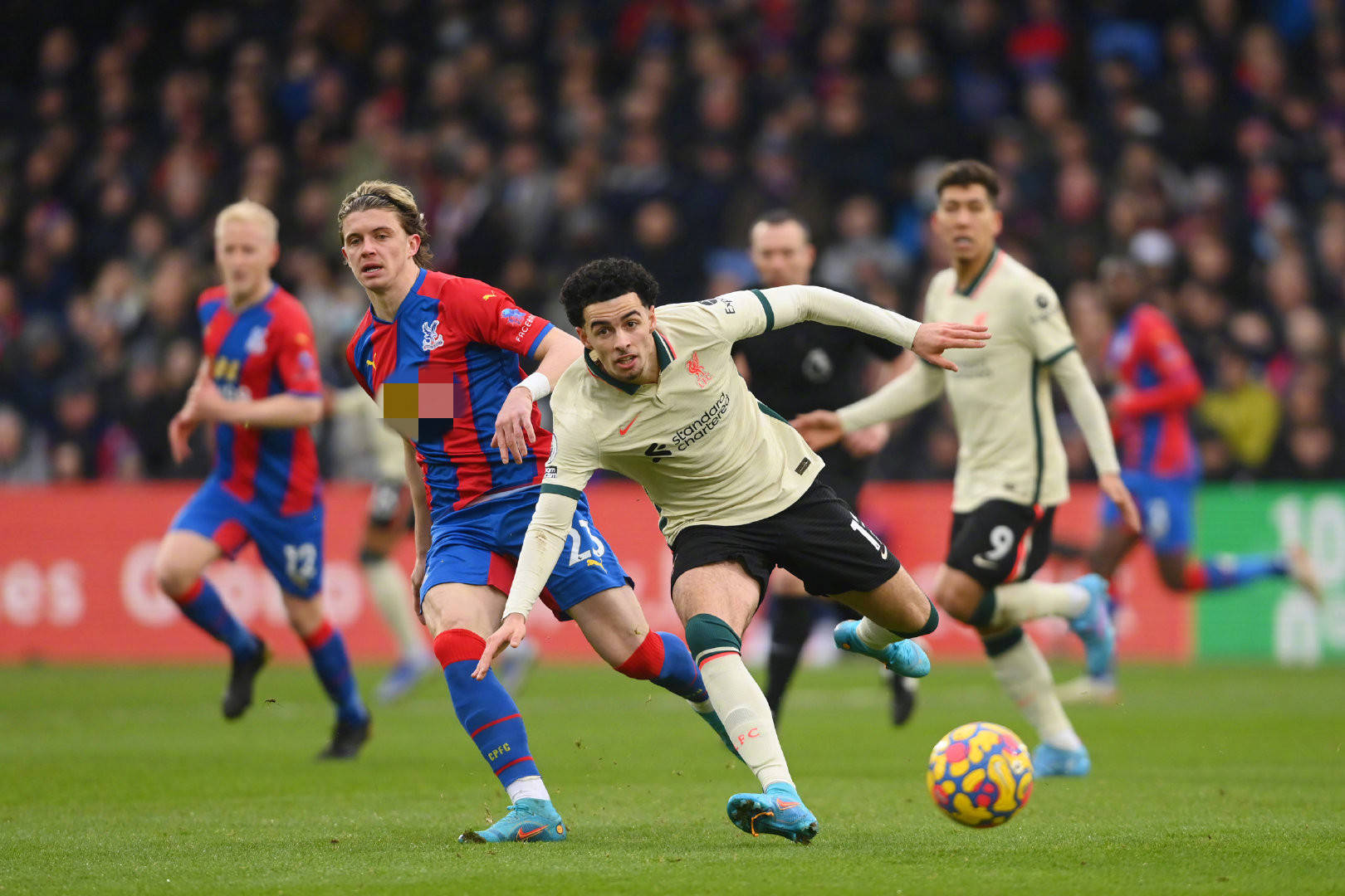 的认真彻底 的认真彻底